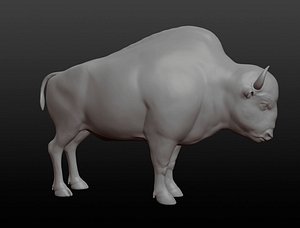 Bison base mesh