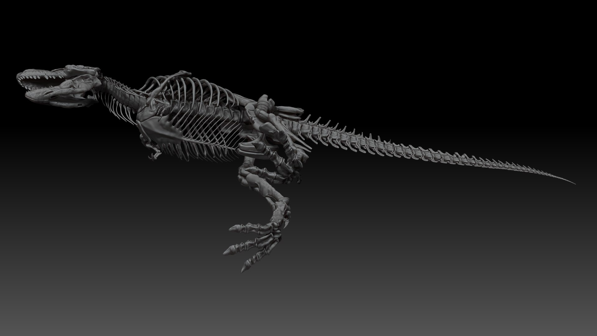3D Skeletons Project Model - TurboSquid 1658191