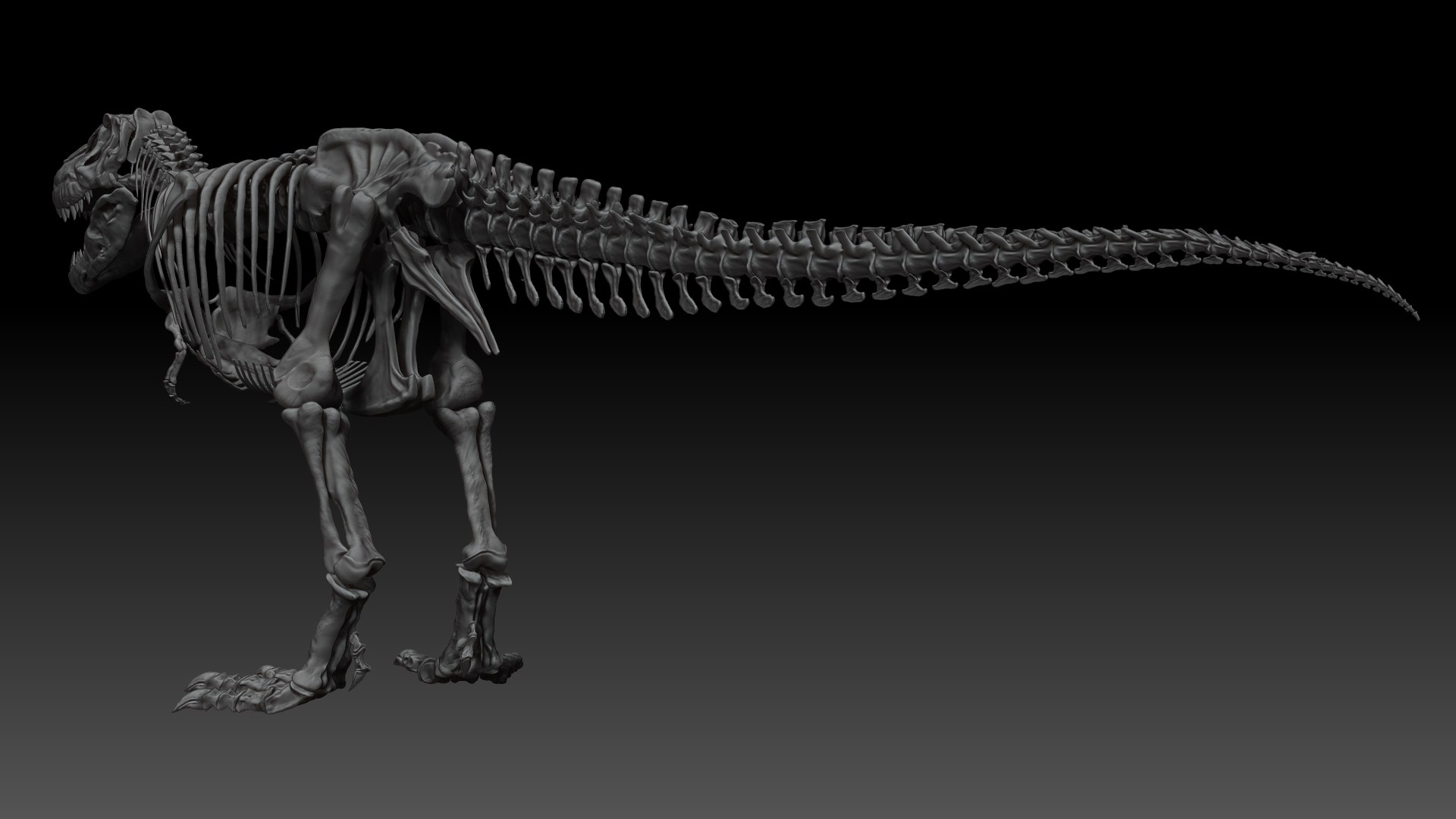 3D Skeletons Project Model - TurboSquid 1658191