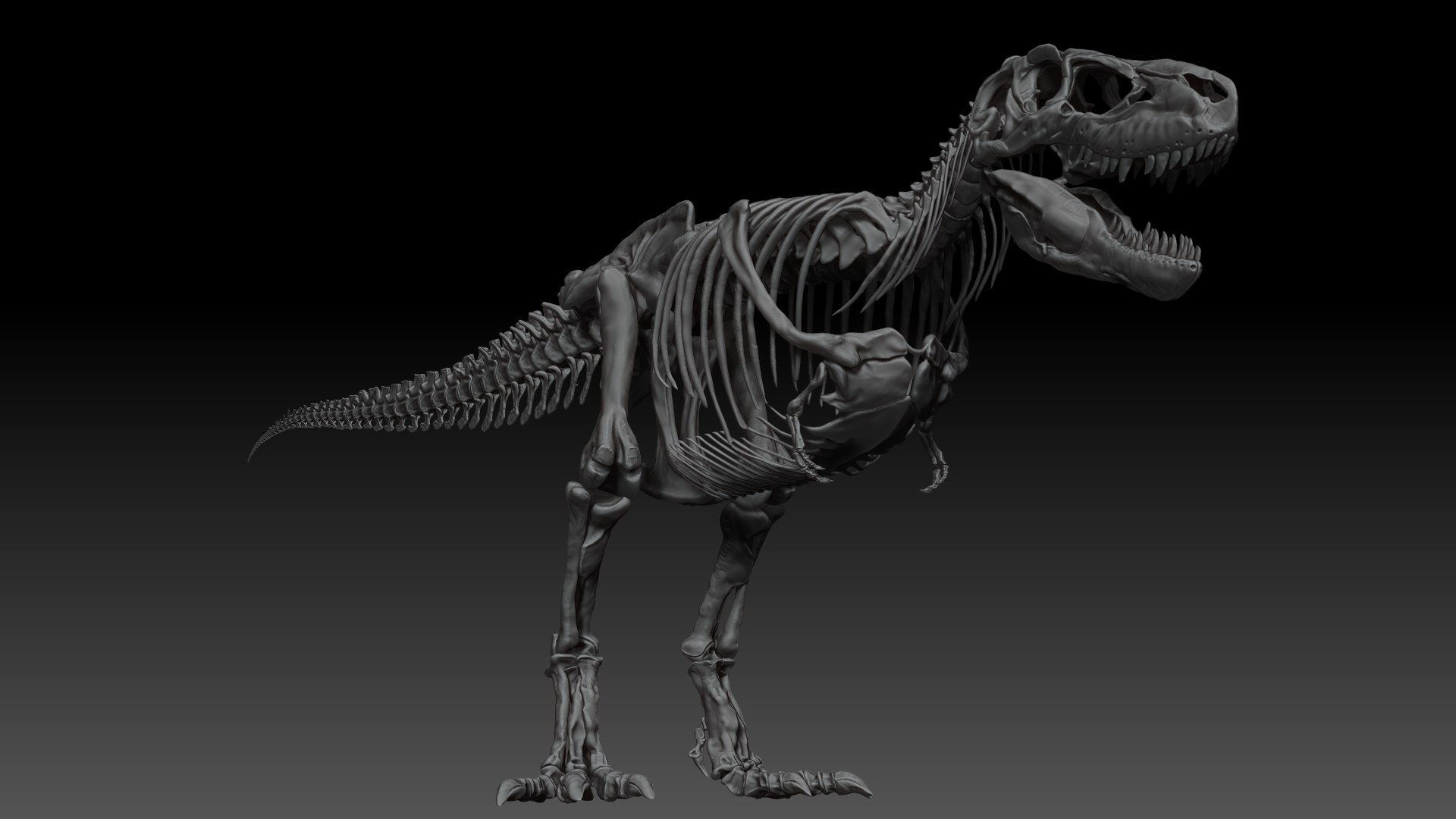 3D Skeletons Project Model - TurboSquid 1658191