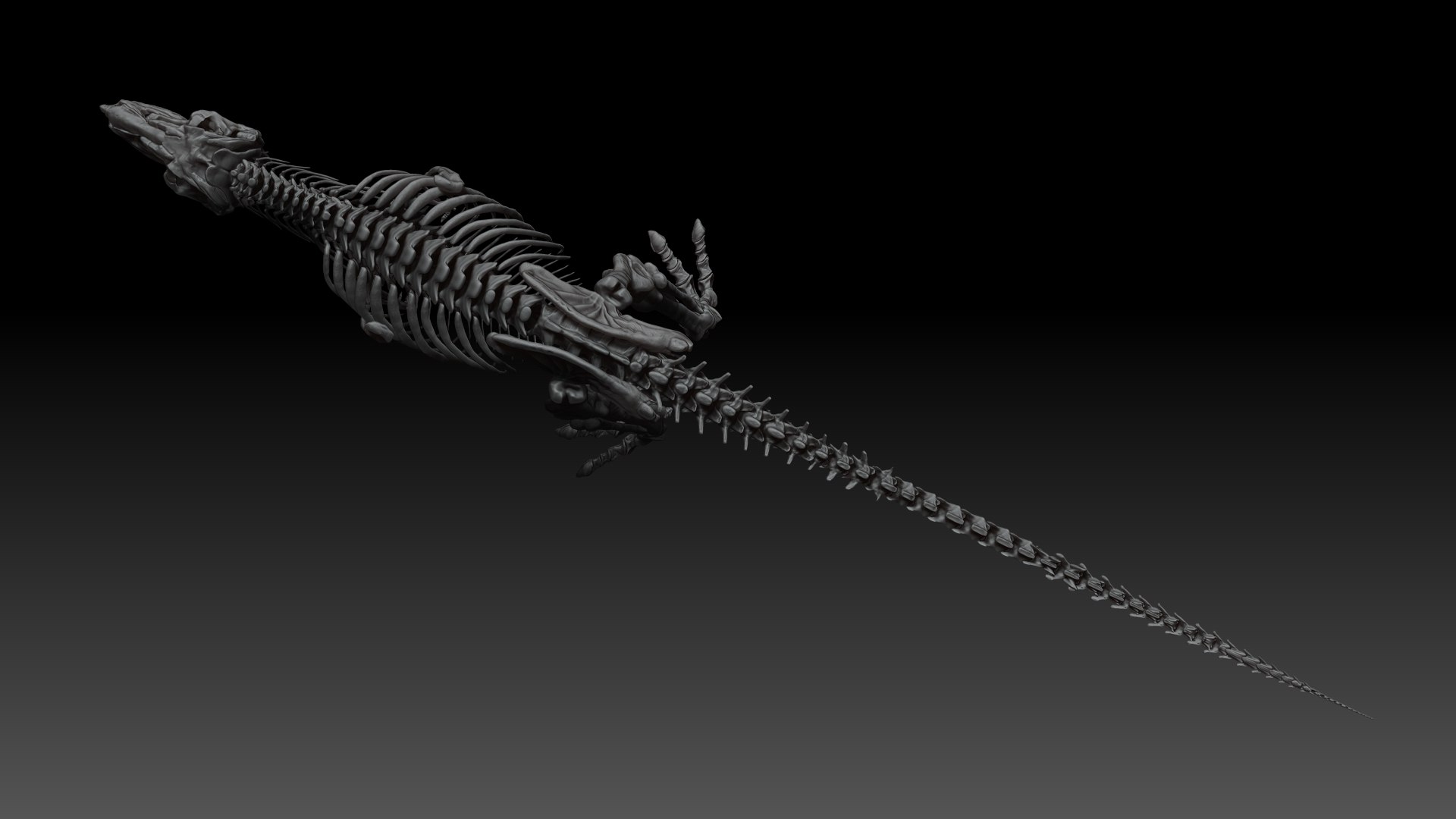 3D Skeletons Project Model - TurboSquid 1658191