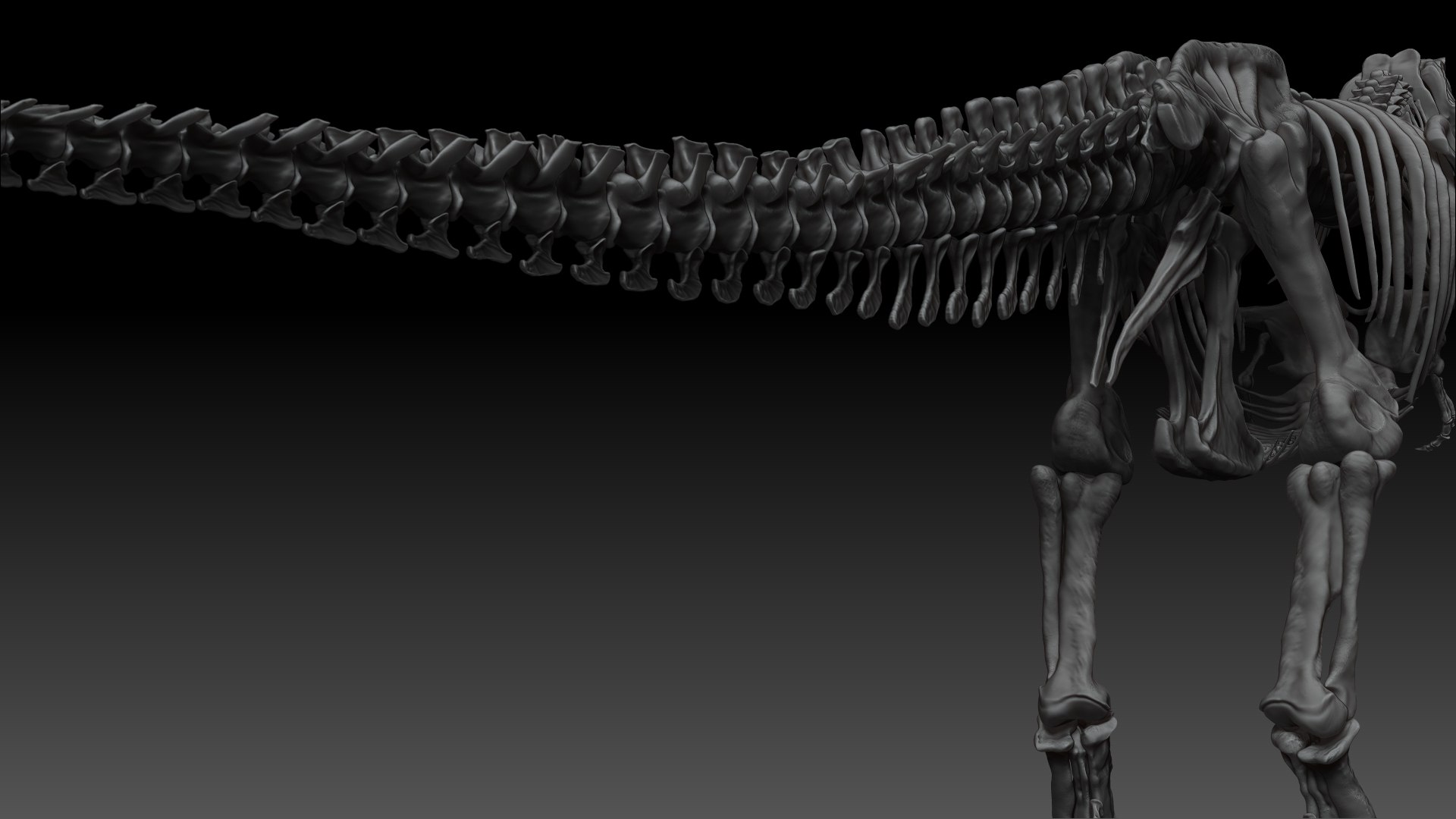 3D Skeletons Project Model - TurboSquid 1658191