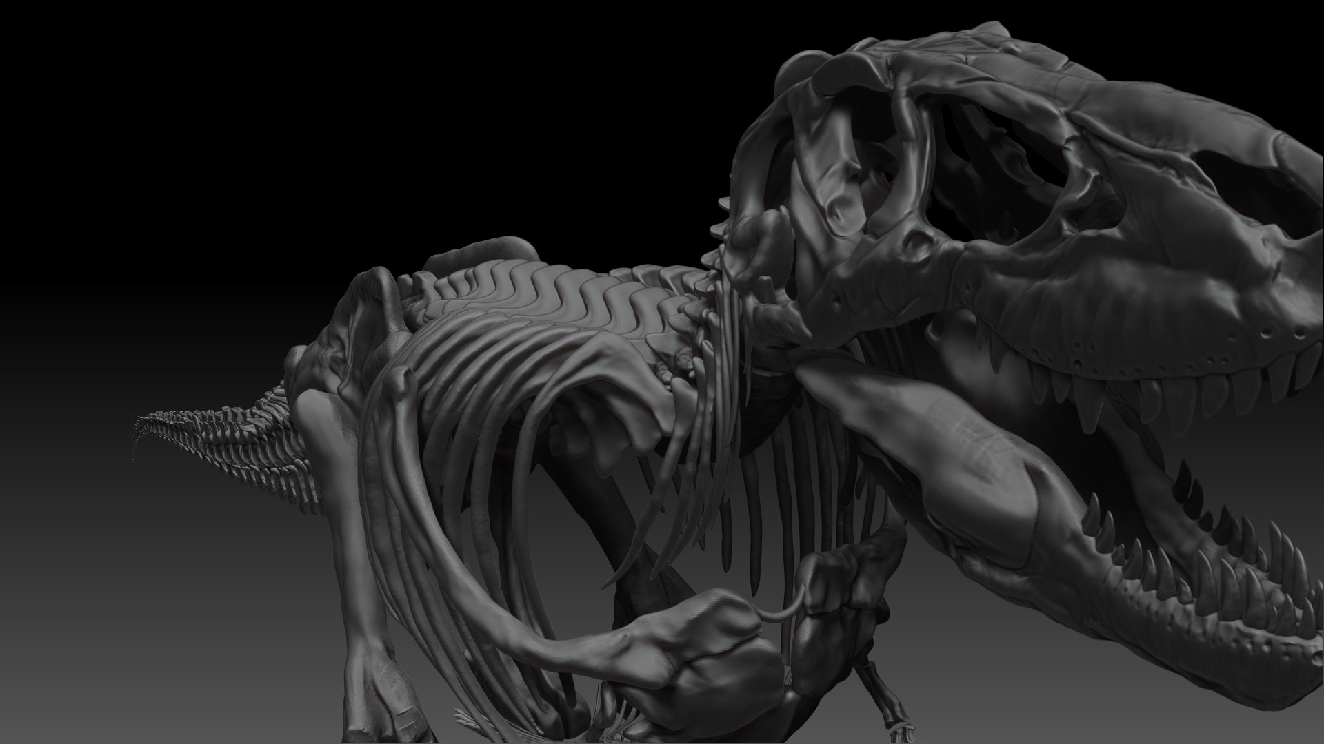 3D Skeletons Project Model - TurboSquid 1658191