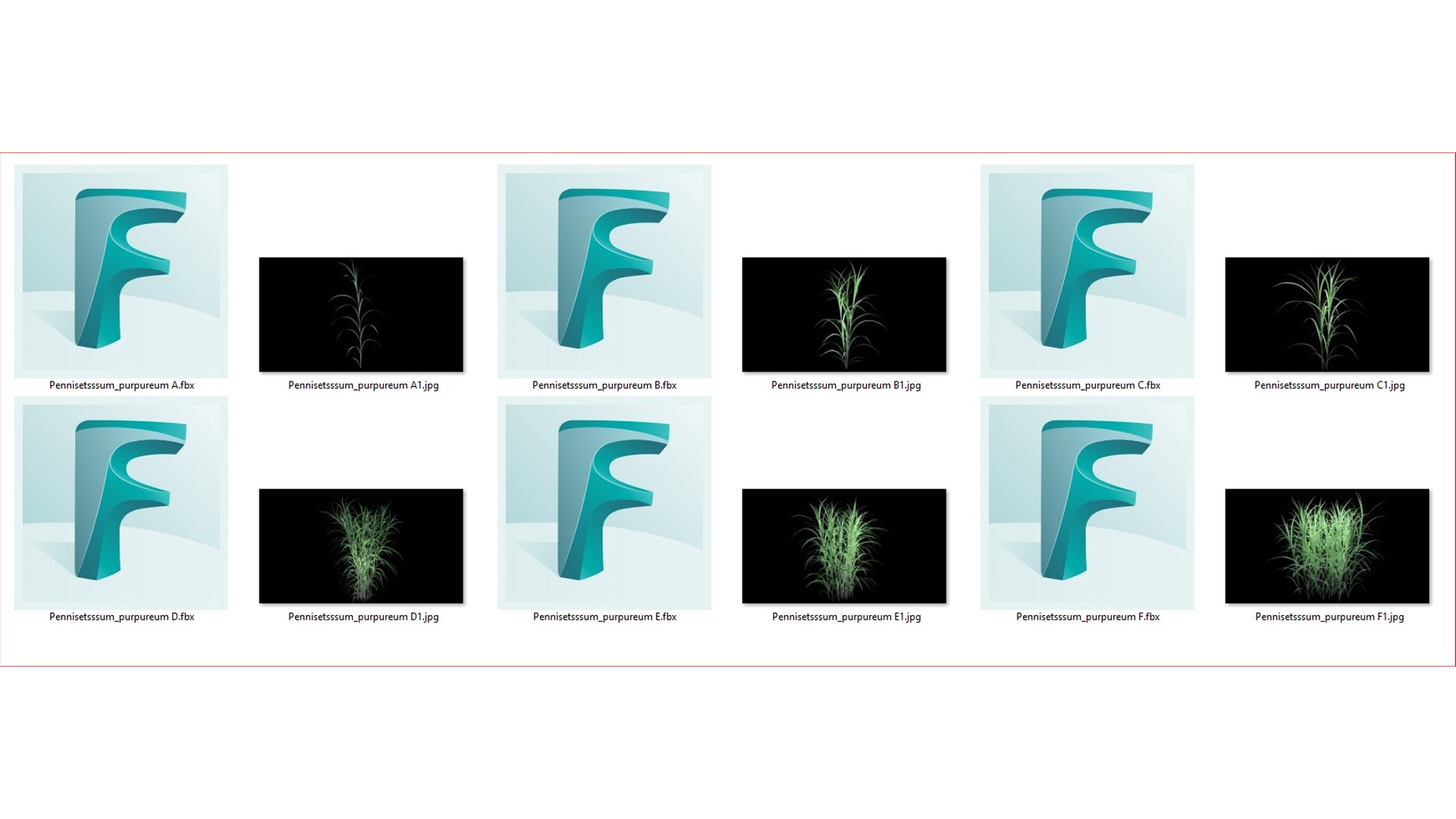 Pennisetum Purpureum 3D model https://p.turbosquid.com/ts-thumb/mJ/IVsobj/Ca/pennisetsssum_purpureumb01/jpg/1726693506/1920x1080/fit_q87/1daee1534ad7e771fad357608fe053f9faca1fa8/pennisetsssum_purpureumb01.jpg