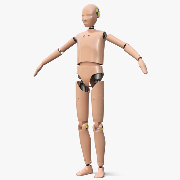 3D model teenager crash test dummy