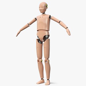 Teenager Crash Test Dummy Rigged for Maya
