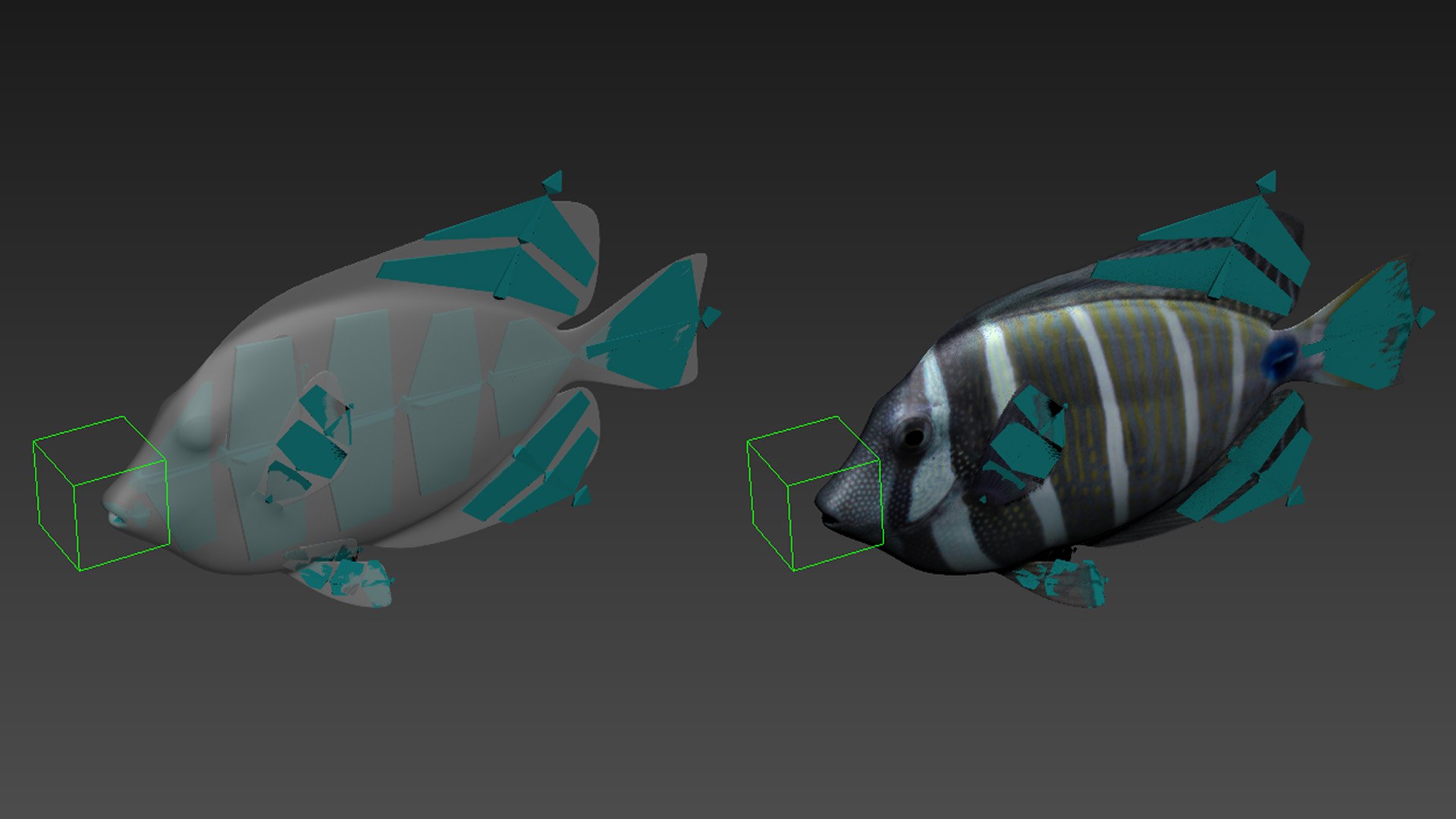 Sailfin Tang Rigged 3D Model - TurboSquid 1515110