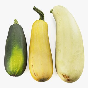 4k vegetable marrow 3D model