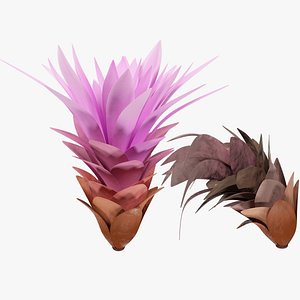 Fresh and Withered Flower