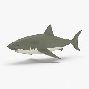 shark---onward model