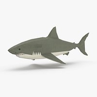 Shark Onward
