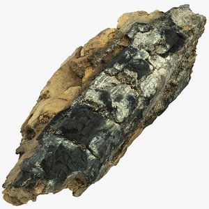 burned wood piece 01 3D model