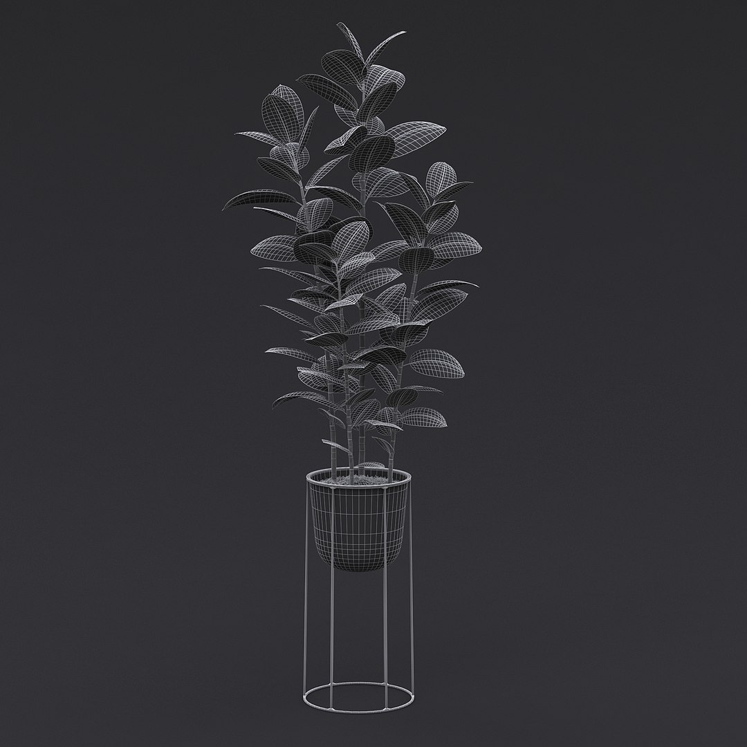 3D model Interior Plants Pack https://p.turbosquid.com/ts-thumb/mK/0QBzt6/Lt/burgundy_rubber_plant_1_01_mesh/jpg/1692033492/1920x1080/fit_q87/2ce0f4031ed2b52ed44474097dbdc5e08d5f4a13/burgundy_rubber_plant_1_01_mesh.jpg