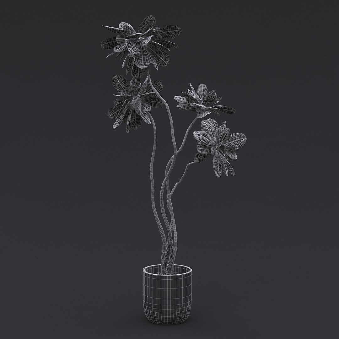 3D model Interior Plants Pack https://p.turbosquid.com/ts-thumb/mK/0QBzt6/of/fiddle_fig_tree_2_01_mesh/jpg/1692038035/1920x1080/fit_q87/fc36366a91269d12ca0da64989996cf05982cc15/fiddle_fig_tree_2_01_mesh.jpg