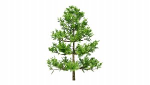 Tree blender 3D