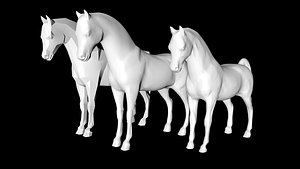 3D horse
