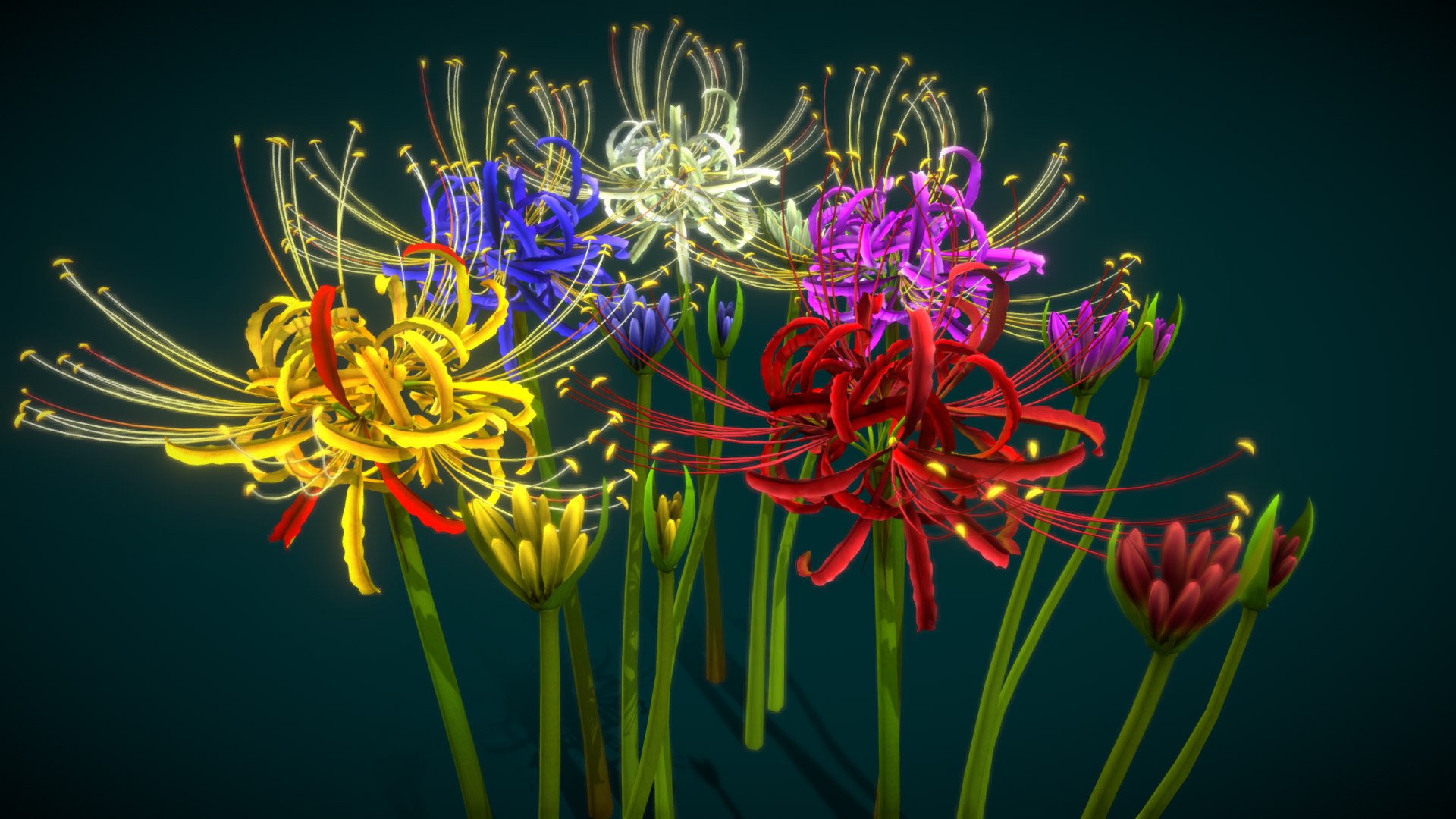 3D Flower Lycoris Radiata Model - TurboSquid 2133061