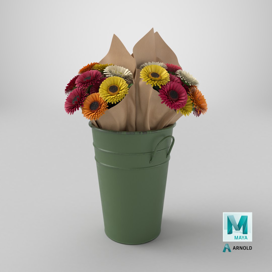 Flowers In Bucket 03 3D model https://p.turbosquid.com/ts-thumb/mK/fh9Zdp/iR/stemcell_maya_arnold_render/png/1769447529/1920x1080/fit_q87/878b2327f6331692e8a4705e88396efe085db520/stemcell_maya_arnold_render.jpg