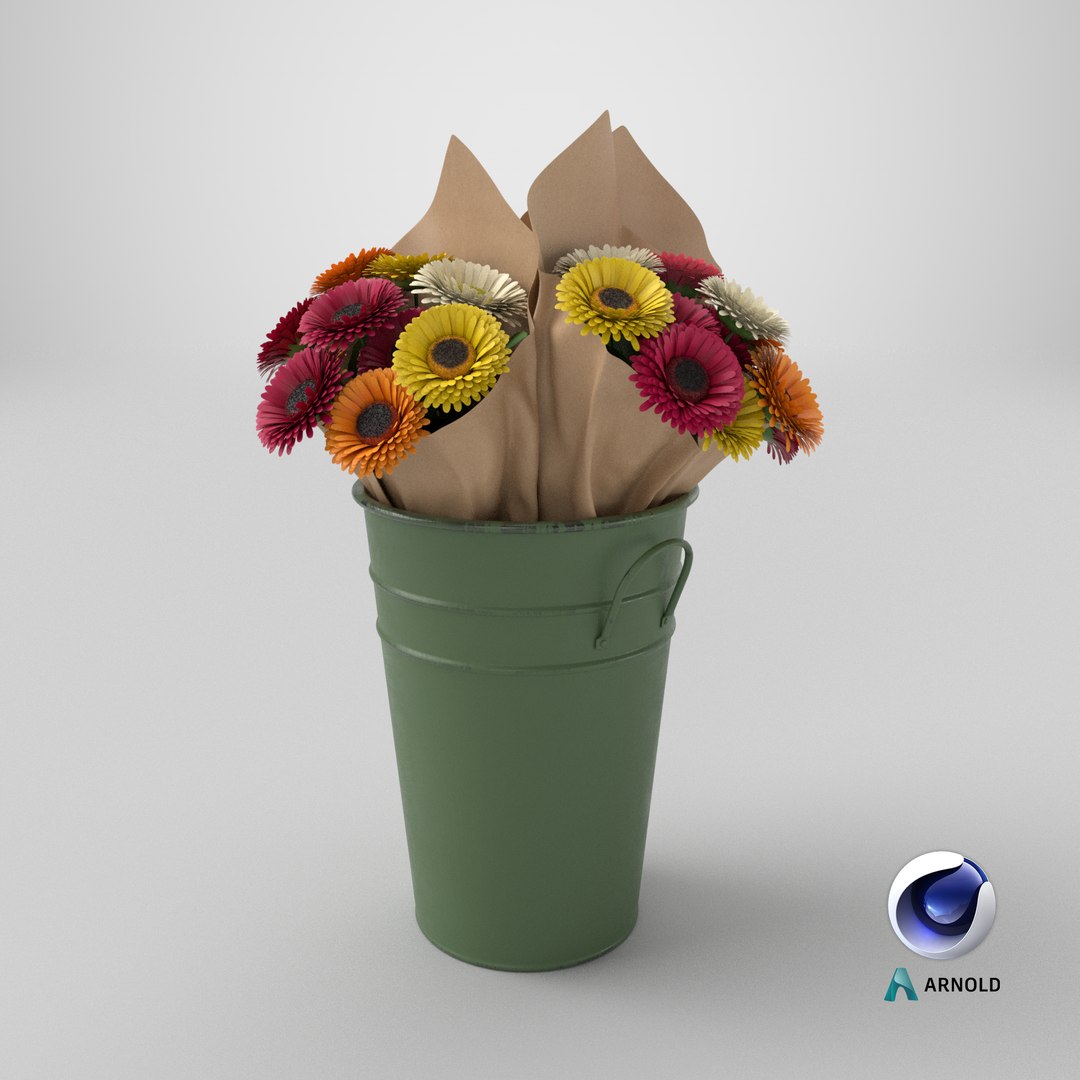 Flowers In Bucket 03 3D model https://p.turbosquid.com/ts-thumb/mK/fh9Zdp/lg/stemcell_cinema_4d_arnold_render/png/1769447533/1920x1080/fit_q87/0469a9571f3bb00a490f8d88d2322e1843f01e81/stemcell_cinema_4d_arnold_render.jpg