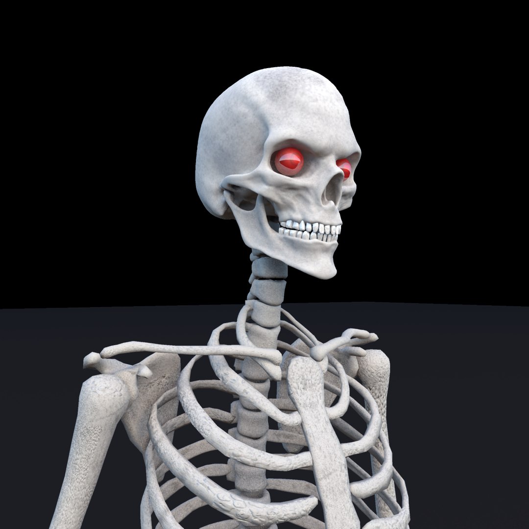 Skeleton Rig Ma Free