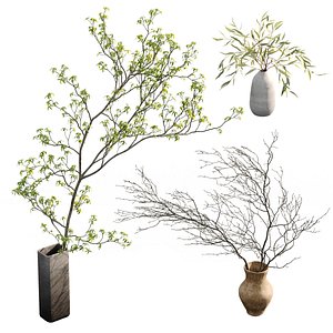3D model Branches in vases