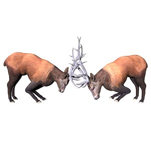 Fully  Rigged Low poly Fighting Elk