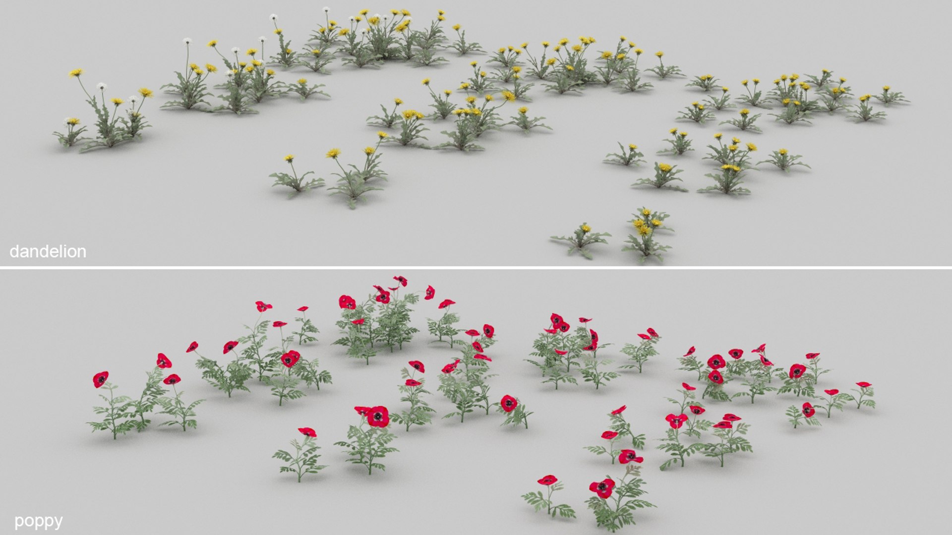 3D 20 grass flowers ground https://p.turbosquid.com/ts-thumb/mK/uhBaei/JM/smr7/jpg/1637701624/1920x1080/fit_q87/e07856a021c633e315a449f1d70b90dedb0e6bec/smr7.jpg