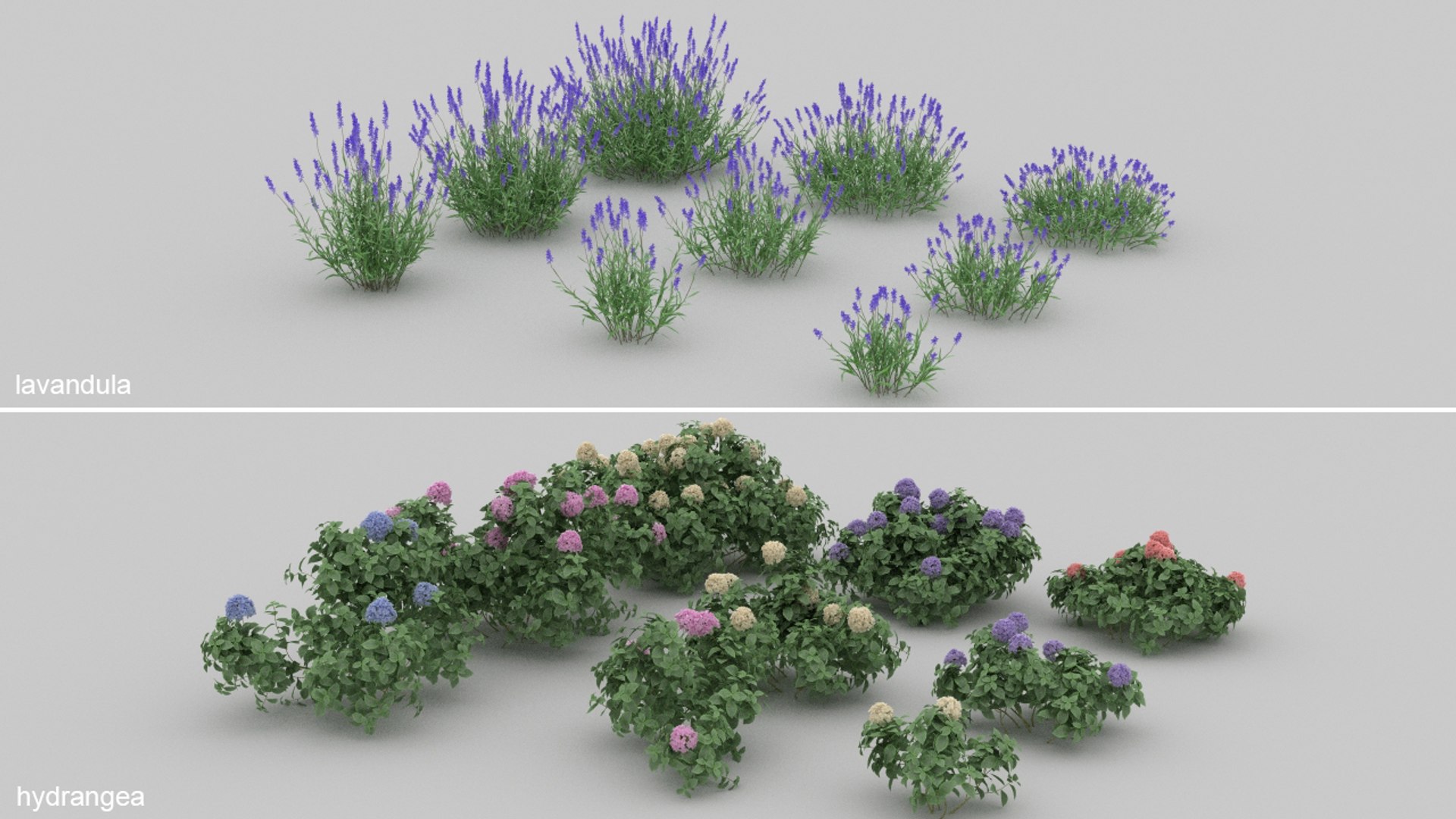 3D 20 grass flowers ground https://p.turbosquid.com/ts-thumb/mK/uhBaei/hL/smr8/jpg/1637701634/1920x1080/fit_q87/cb7a9581adebc3b0920ef947328b786259f611b4/smr8.jpg