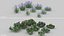 20 piante a terra estive
