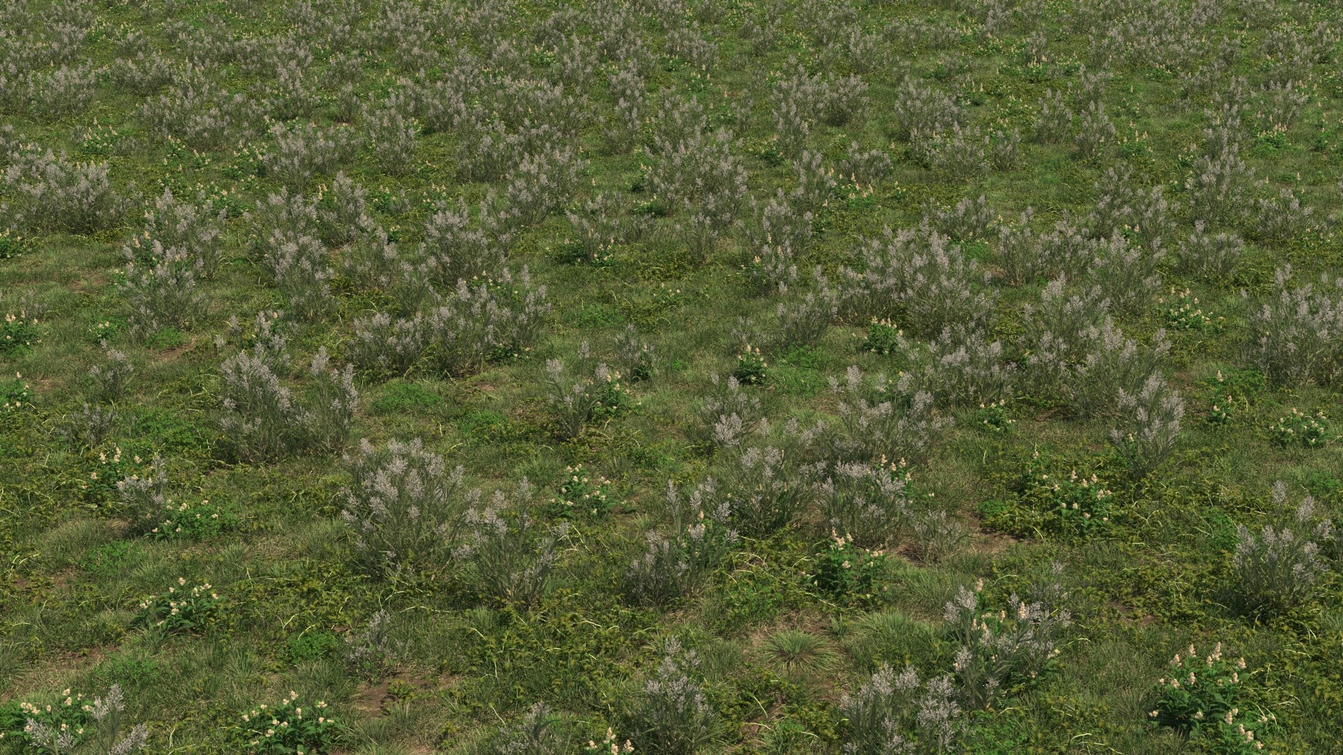 3D 20 grass flowers ground https://p.turbosquid.com/ts-thumb/mK/uhBaei/lG/29/jpg/1679467887/1920x1080/fit_q87/58323148904bf82bba19b020ca61a0358dc155aa/29.jpg