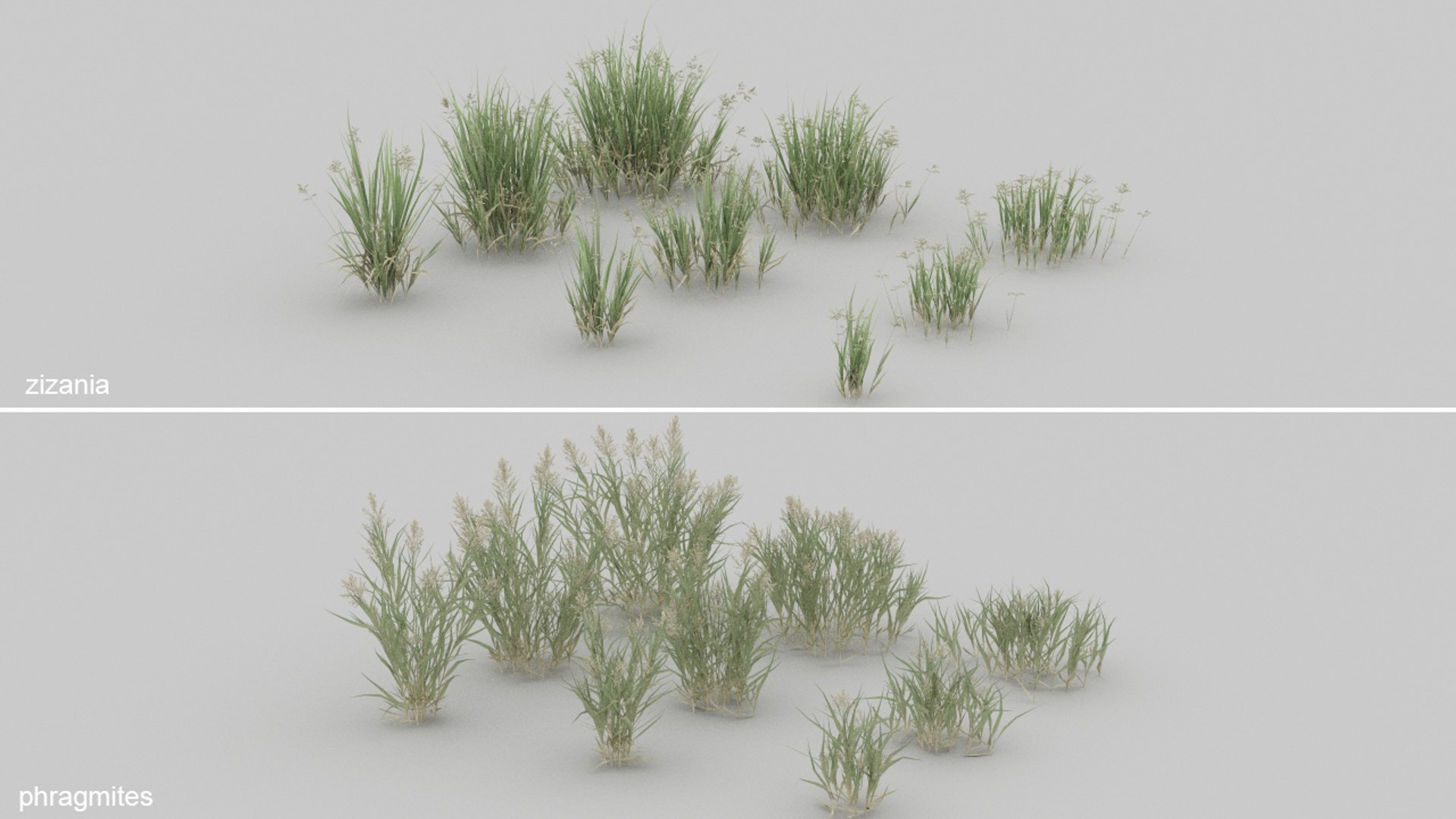 3D 20 grass flowers ground https://p.turbosquid.com/ts-thumb/mK/uhBaei/ol/smr3/jpg/1637701584/1920x1080/fit_q87/1a1567a052cf7674549fcd145ba42922c8b8dc42/smr3.jpg