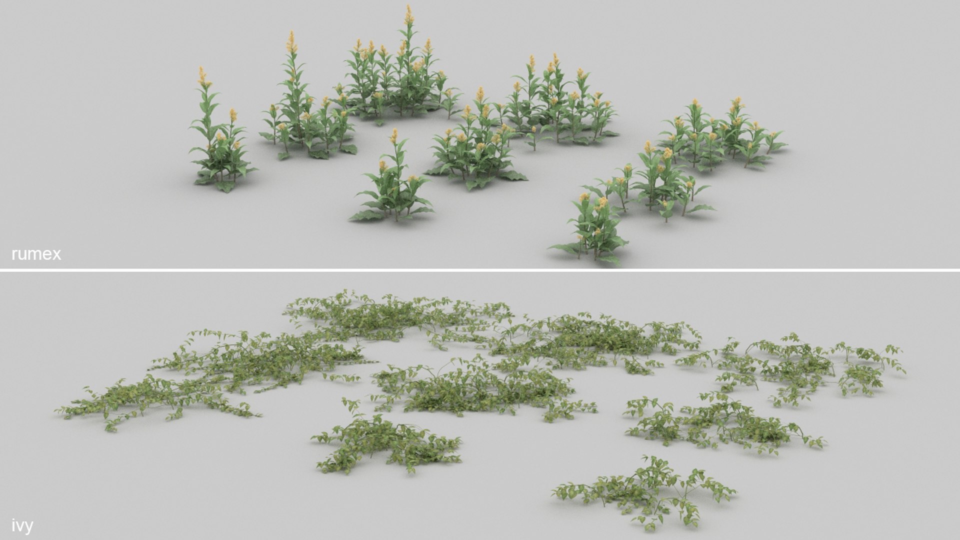 3D 20 grass flowers ground https://p.turbosquid.com/ts-thumb/mK/uhBaei/pf/smr5/jpg/1637701603/1920x1080/fit_q87/0799f02e5f2563e8a260a163bae134b3c9a6f1a2/smr5.jpg
