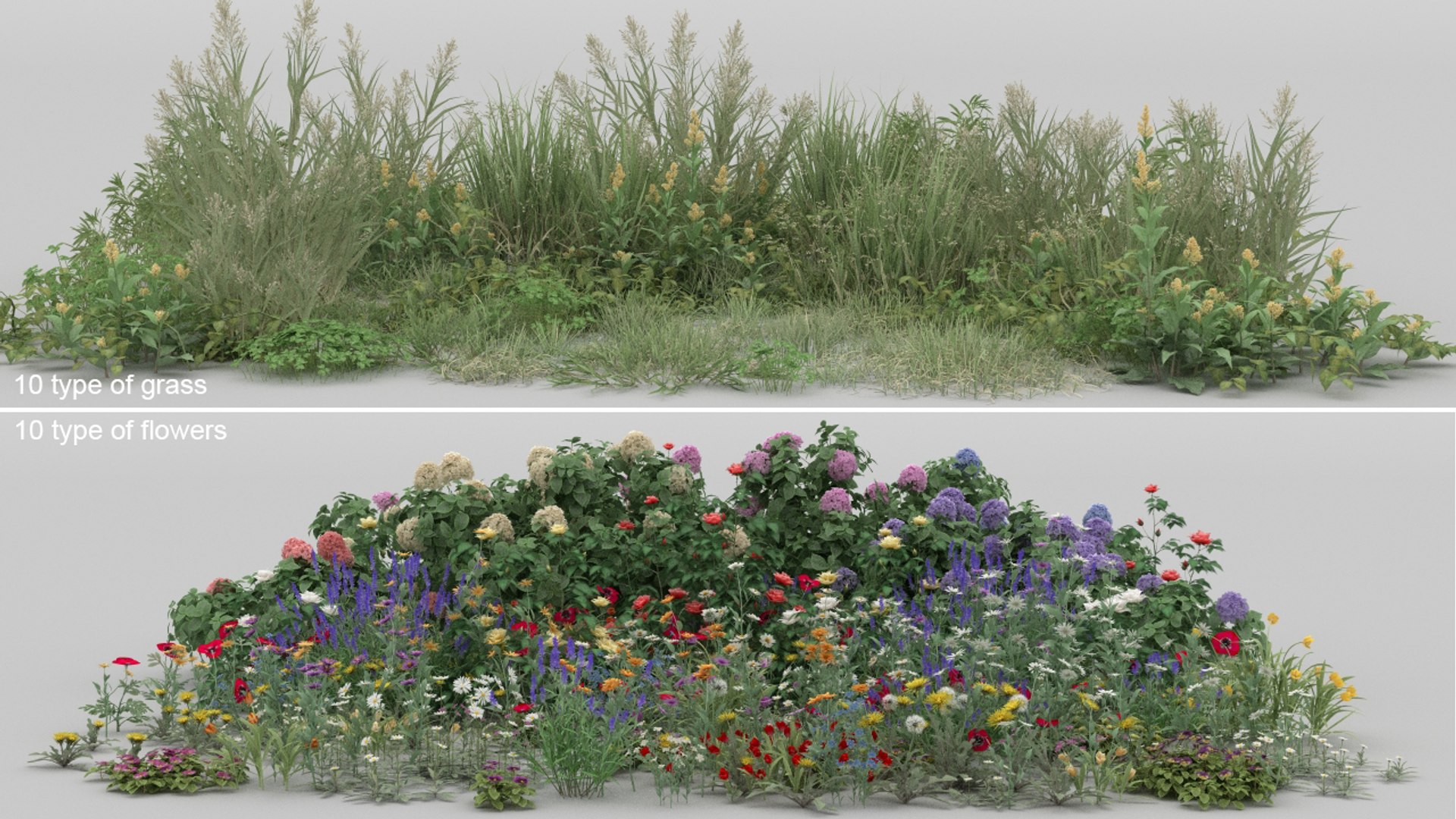 3D 20 grass flowers ground https://p.turbosquid.com/ts-thumb/mK/uhBaei/wl/03/jpg/1637701550/1920x1080/fit_q87/acb82ef8c351e0f416f2f5a0b34783905af9f156/03.jpg