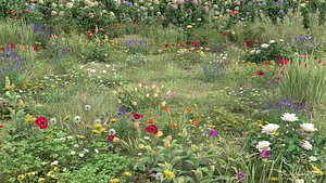 20 Summer Ground Plants