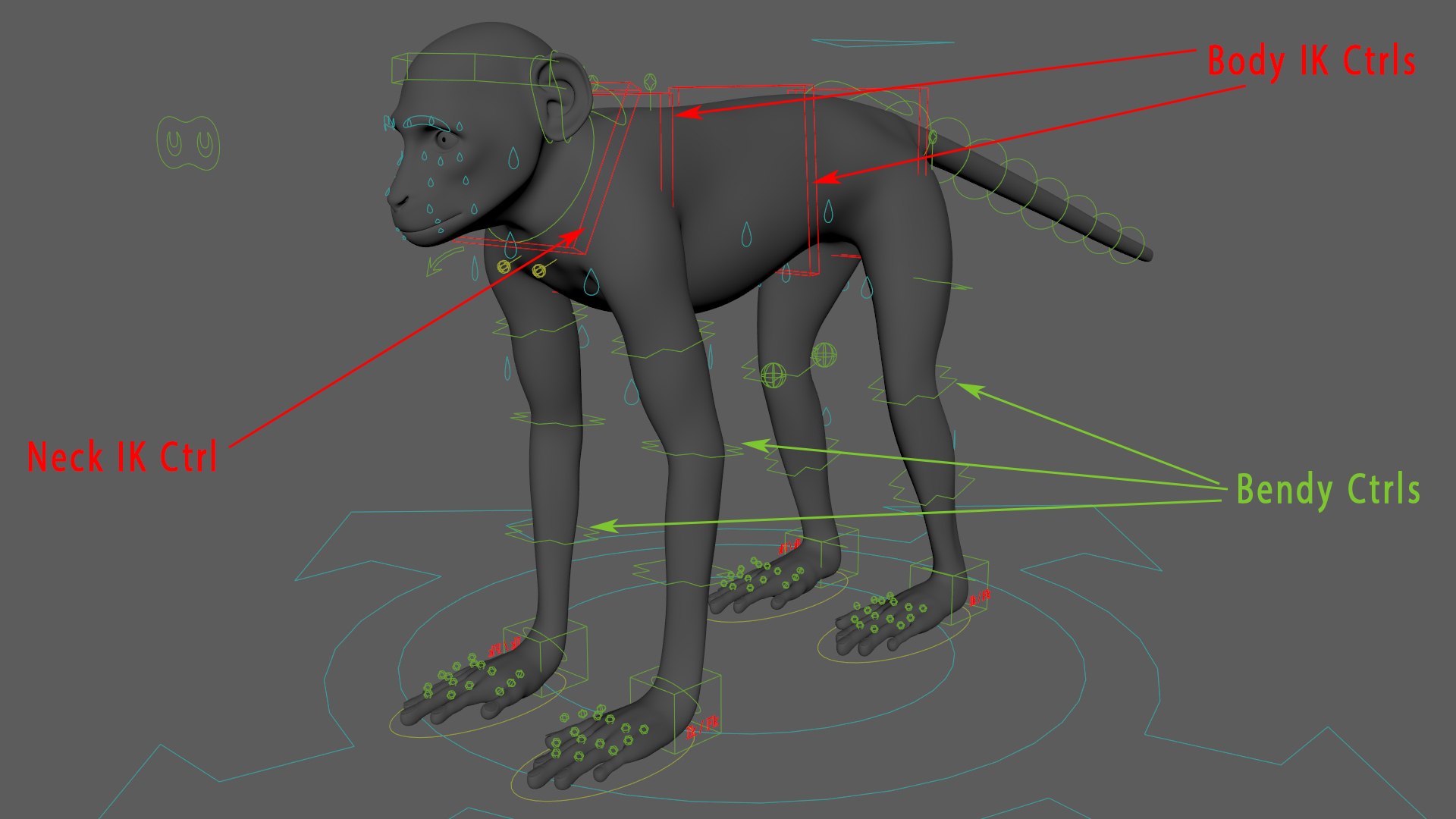 Monkey Ververt FUR Rig 02 3D model - TurboSquid 2176410