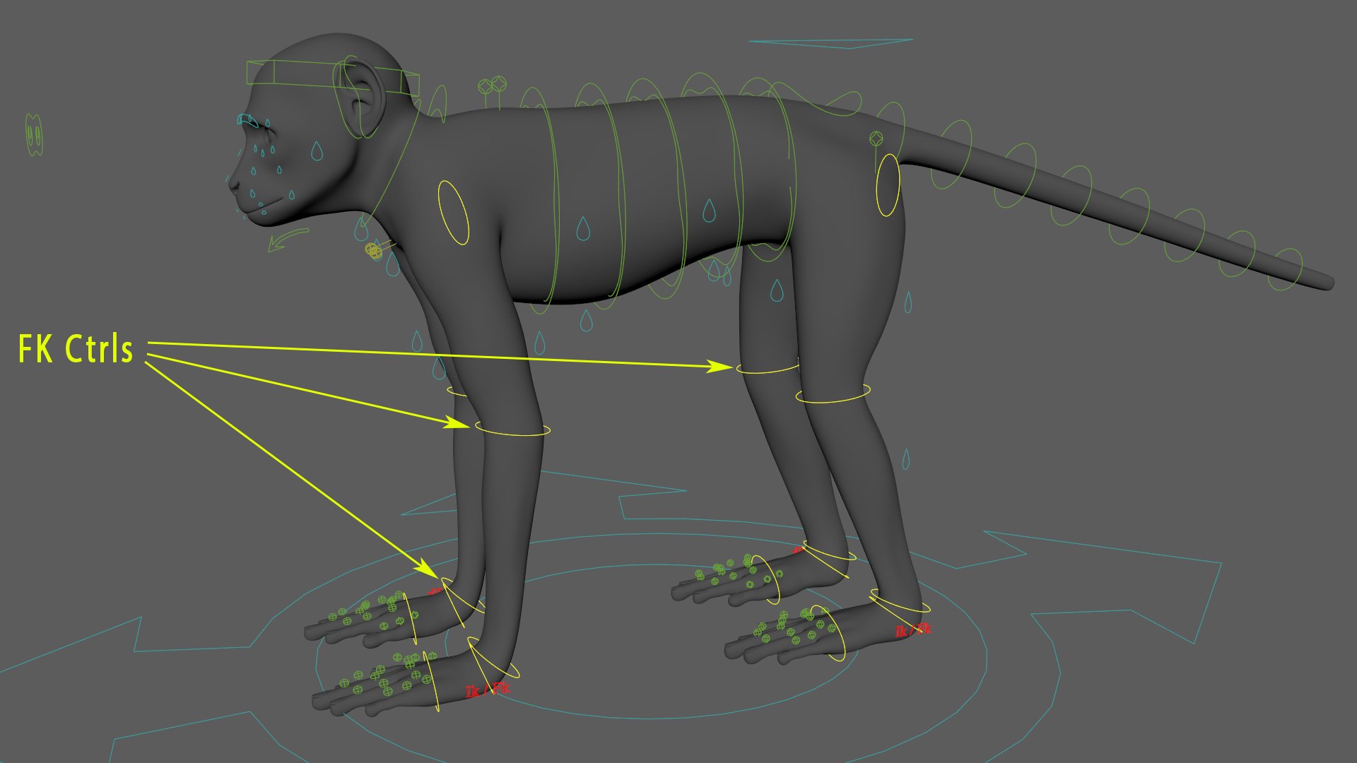 Monkey Ververt FUR Rig 02 3D model - TurboSquid 2176410