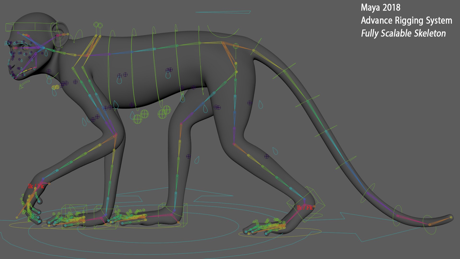 Monkey Ververt FUR Rig 02 3D model - TurboSquid 2176410