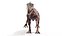 allosaurus 3D model