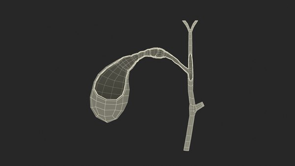 modelo 3d Corte de vesícula biliar - TurboSquid 2250605