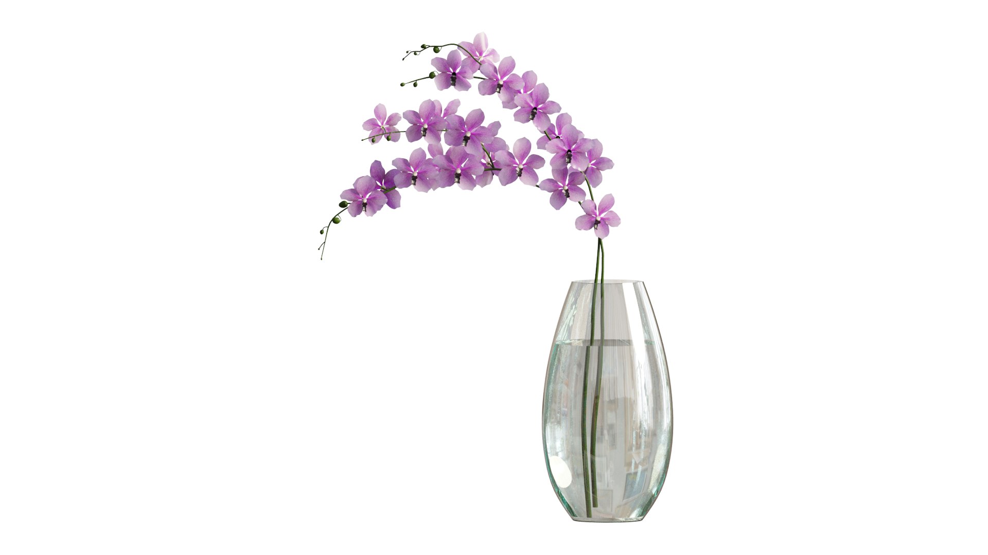 vanda max https://p.turbosquid.com/ts-thumb/mL/67UKpP/7D/4/png/1610081942/1920x1080/fit_q87/d138206795ee6d814eec0ab286a6483c7b455ebb/4.jpg