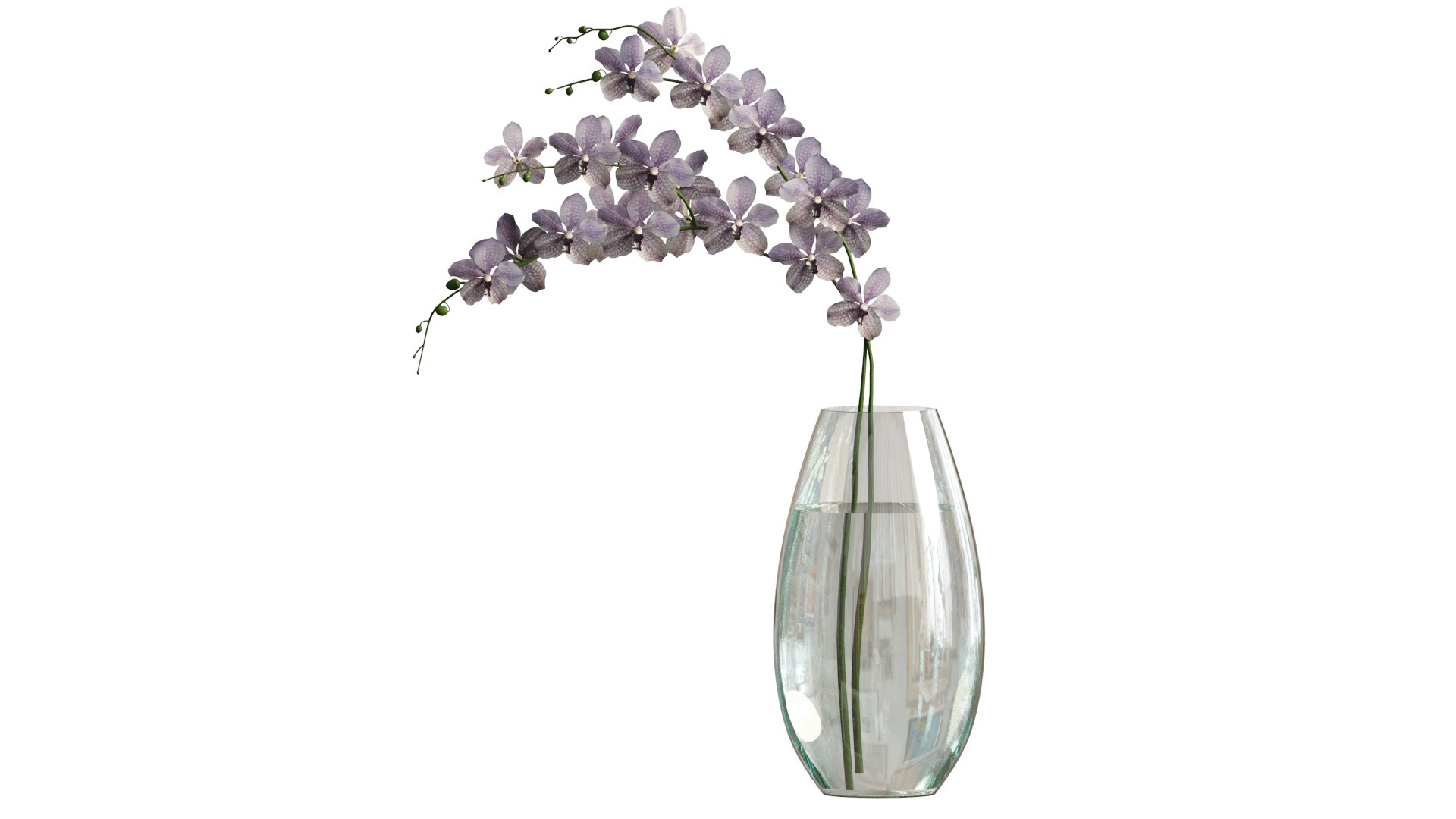 vanda max https://p.turbosquid.com/ts-thumb/mL/67UKpP/7S/3/png/1610081940/1920x1080/fit_q87/452f6a124af4a91d0acc1dec18c7dc3401d10b18/3.jpg