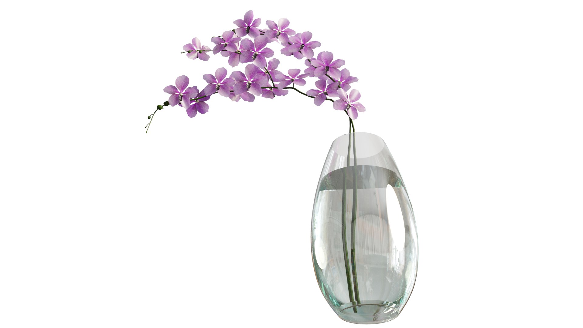 vanda max https://p.turbosquid.com/ts-thumb/mL/67UKpP/Jp/5/png/1610081943/1920x1080/fit_q87/e87e4342edb711e21c8dae7609d7a62d864233c7/5.jpg