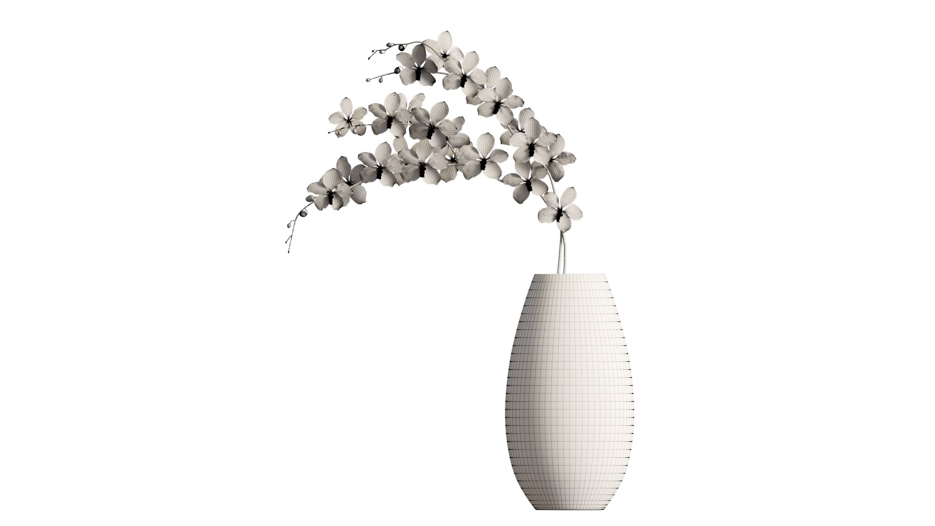 vanda max https://p.turbosquid.com/ts-thumb/mL/67UKpP/gN/6/png/1610081944/1920x1080/fit_q87/39c8d46bc1ac47e00240995bd8f01faf682a2291/6.jpg