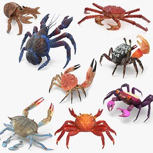3D model crabs 3 rigged