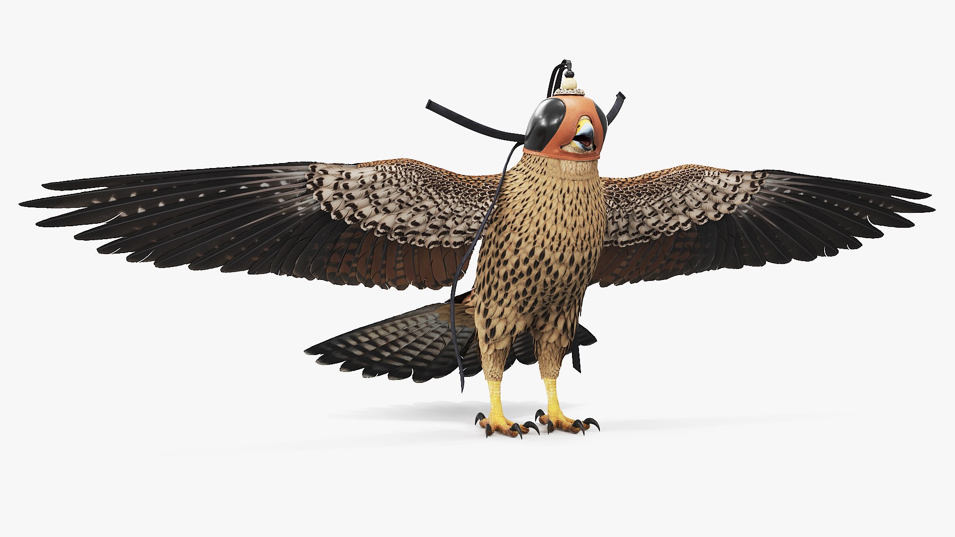 Hunting Falcon with Traditional Falconry Hood Brown 3D model preview