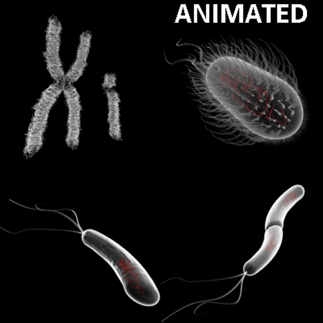 120 Micro Objects Cells 3d Model