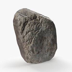 River Stone 09 StemCell 3D