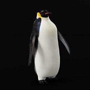 Emperor Penguin