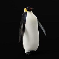 Emperor Penguin