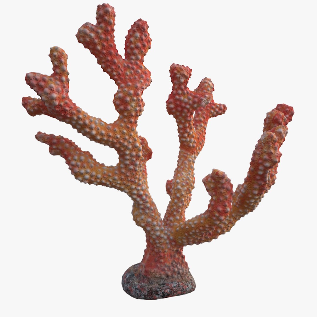 3D coral acropora v3 model https://p.turbosquid.com/ts-thumb/mL/StLPv8/1YrKaDVw/05/jpg/1518185581/1920x1080/fit_q87/876f914f61440d2eb3aae4fa2e0a0fdf57039be6/05.jpg